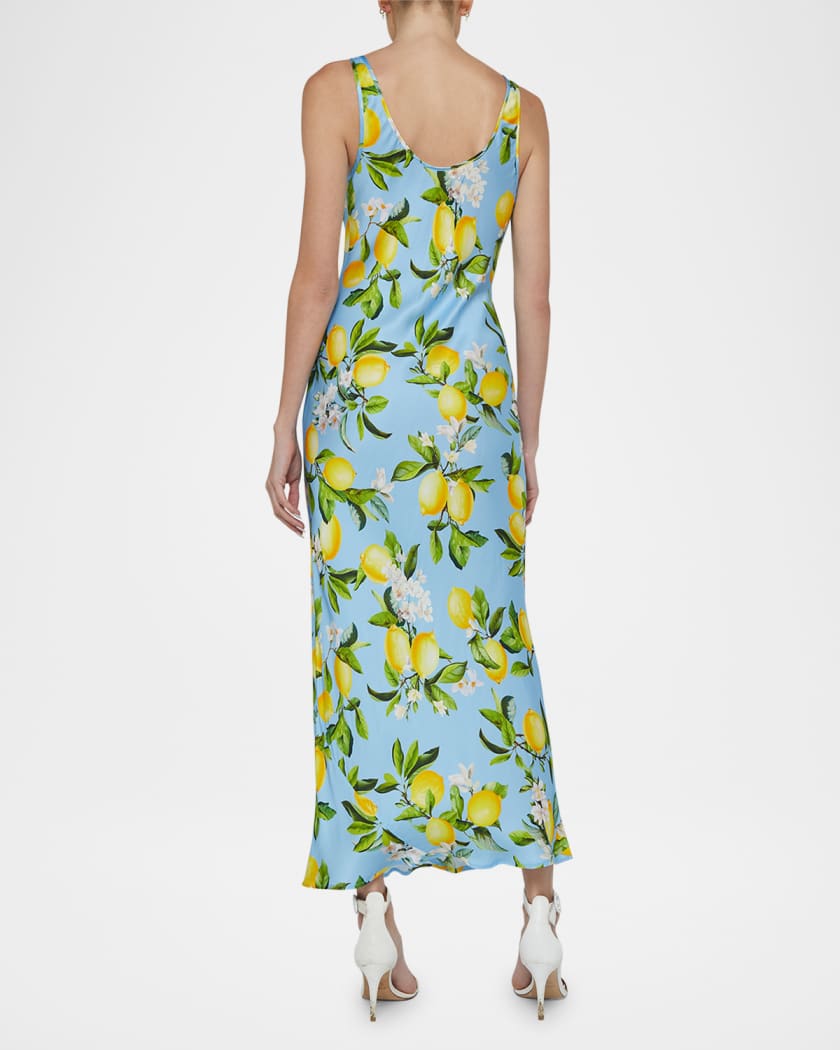 Akiya Tank Dress