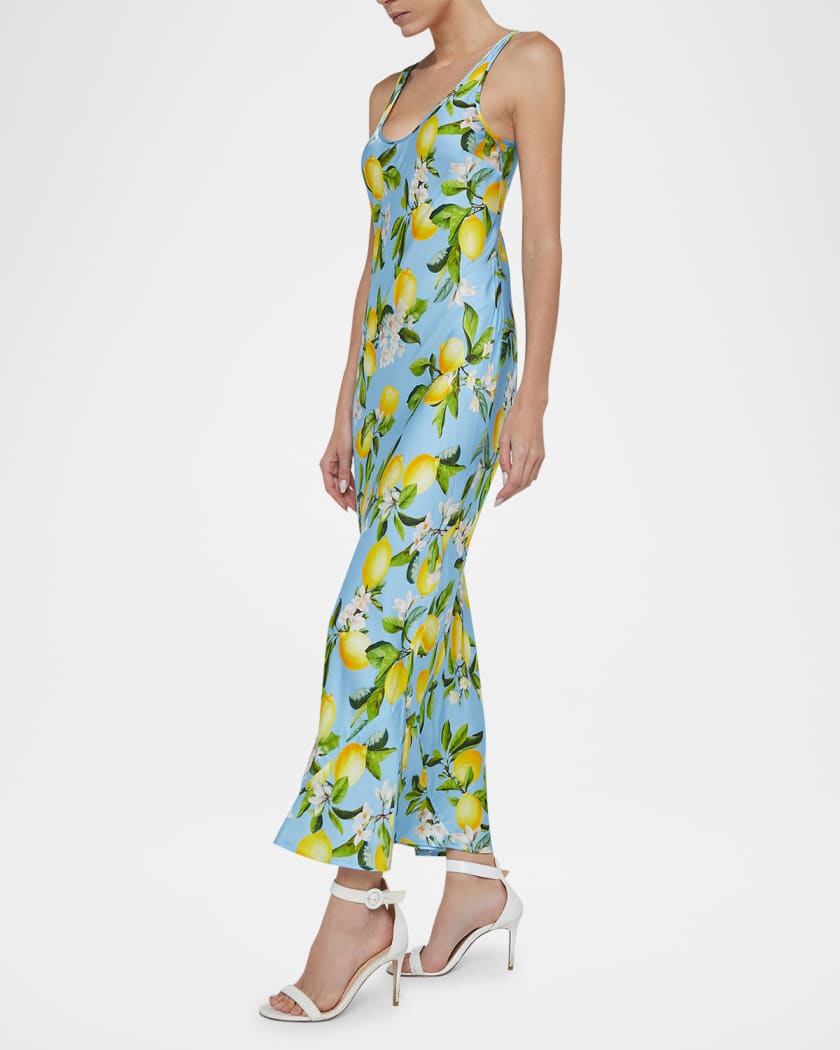Akiya Tank Dress
