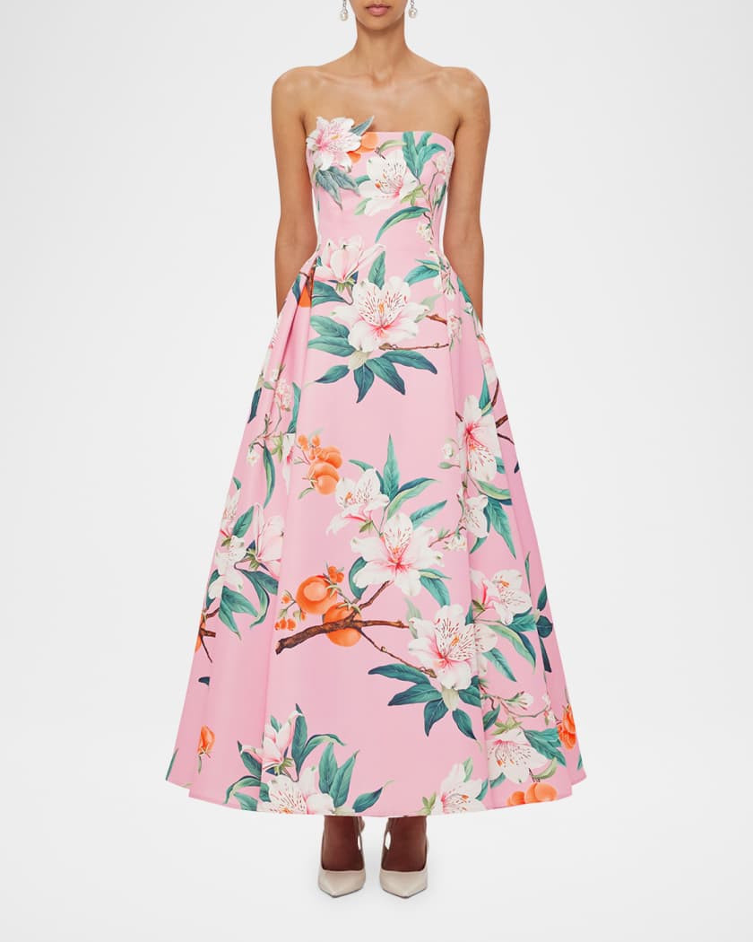 Nora Pleated Floral-Print Bustier Gown