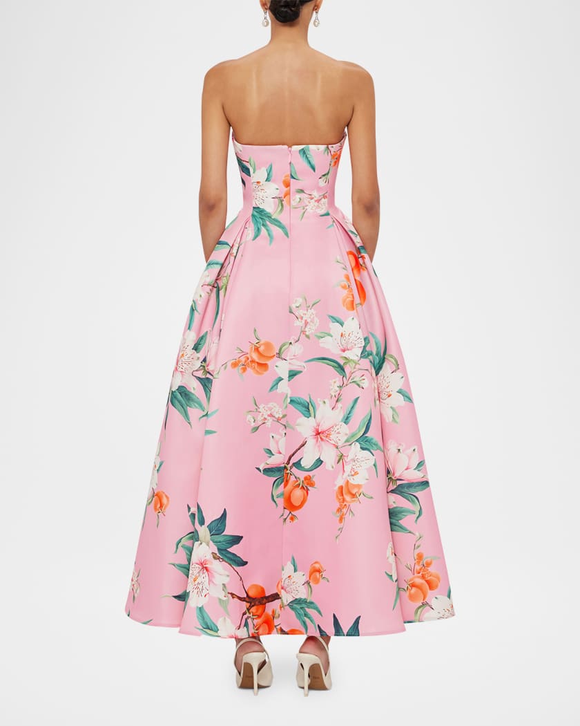 Nora Pleated Floral-Print Bustier Gown