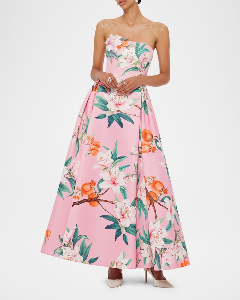 Nora Pleated Floral-Print Bustier Gown