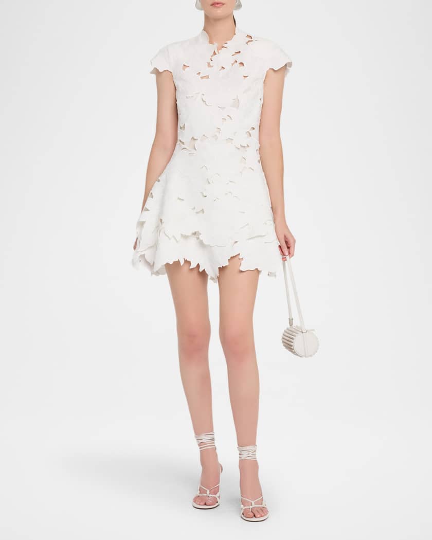 Holloway Embroidered Mini Dress