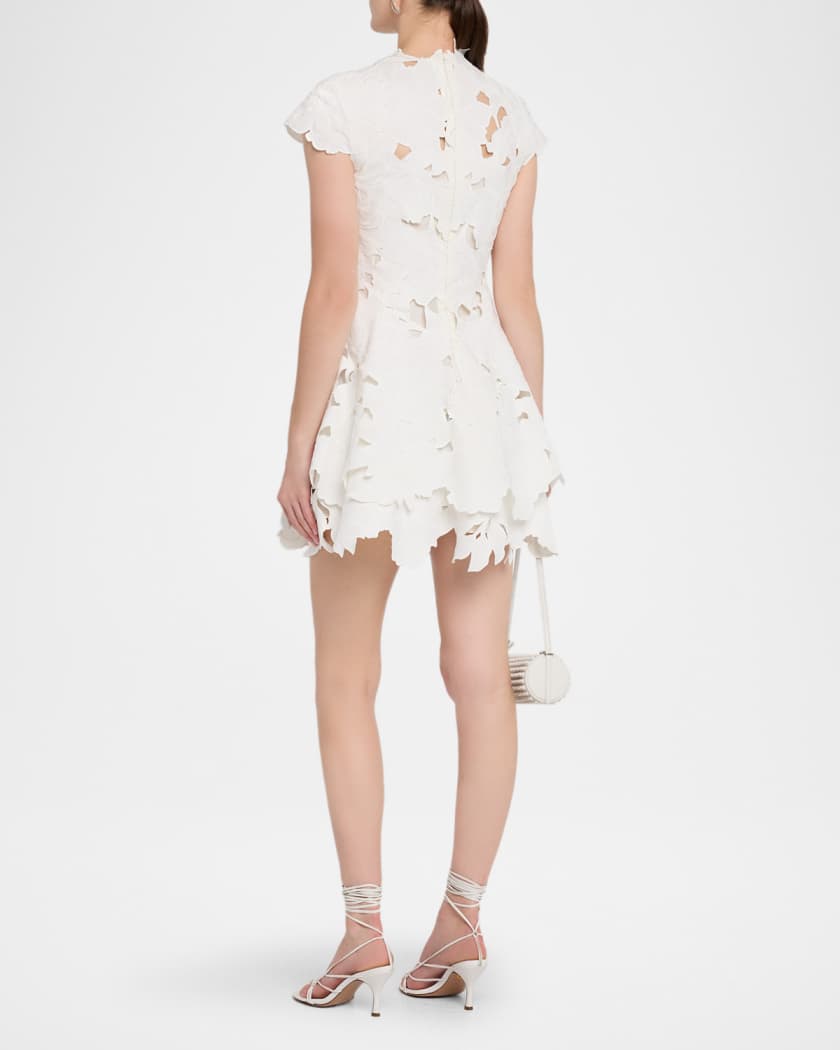 Holloway Embroidered Mini Dress