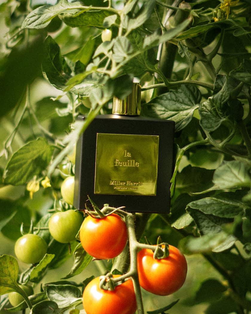 La Feuille Eau de Parfum, 3.4 oz.