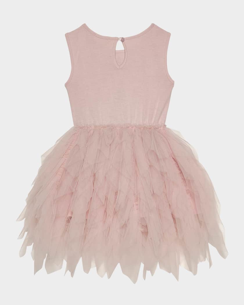 Girl's Bebe Floral Embroidered Tutu Dress, Size 6M-24M