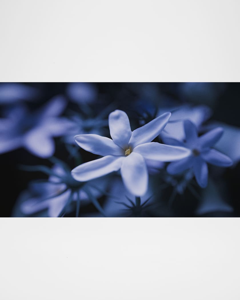 Blue Talisman Extrait de Parfum, 3.4 oz.