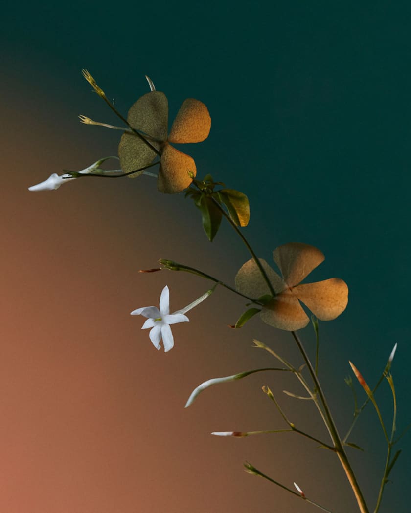 A Kiss of Bliss Eau de Parfum, 1.7 oz. | Neiman Marcus