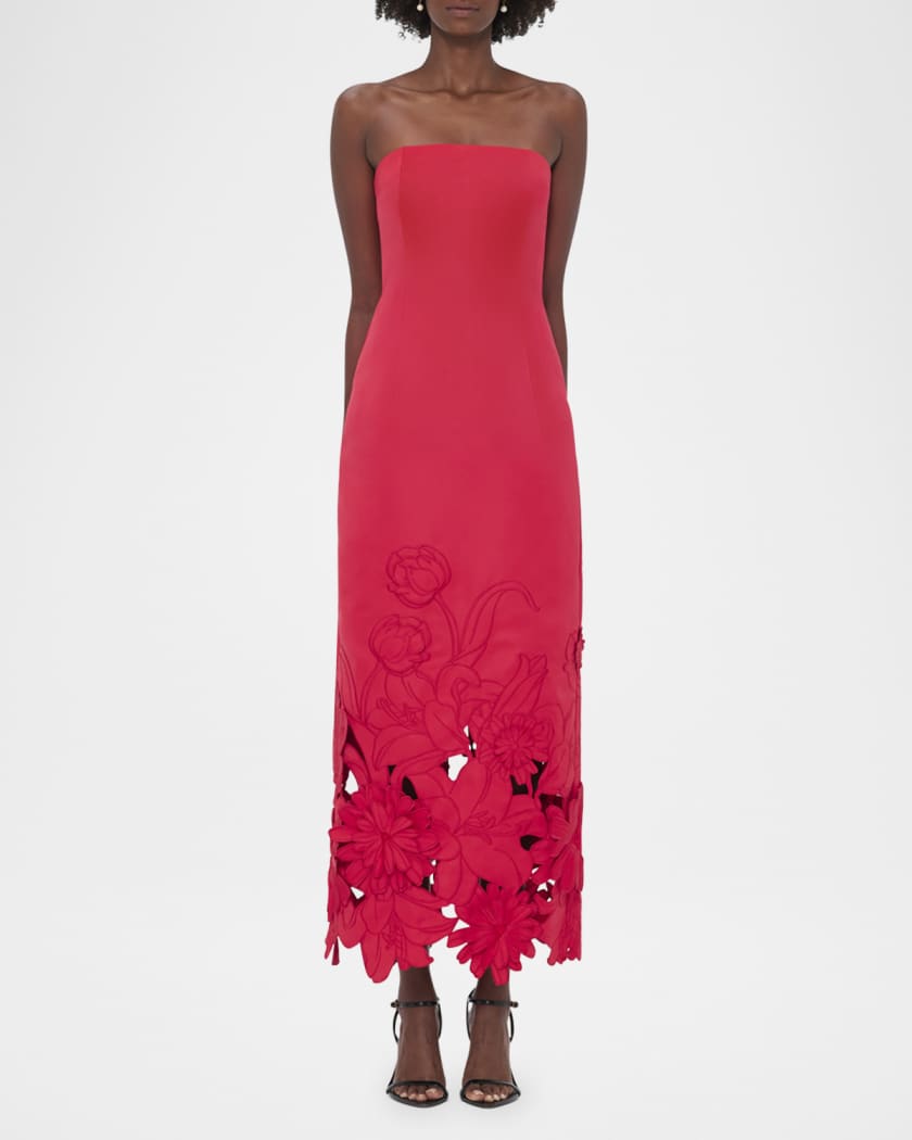Zayna Embroidered Cutout Bustier Maxi Dress