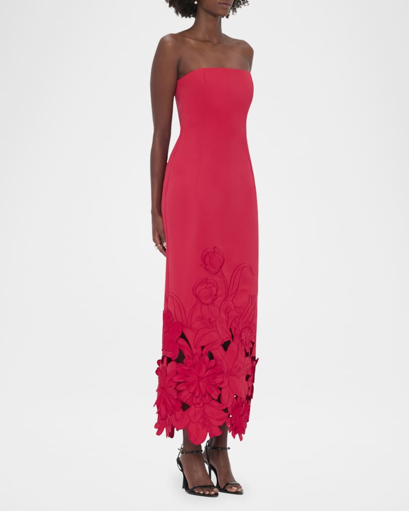 Zayna Embroidered Cutout Bustier Maxi Dress