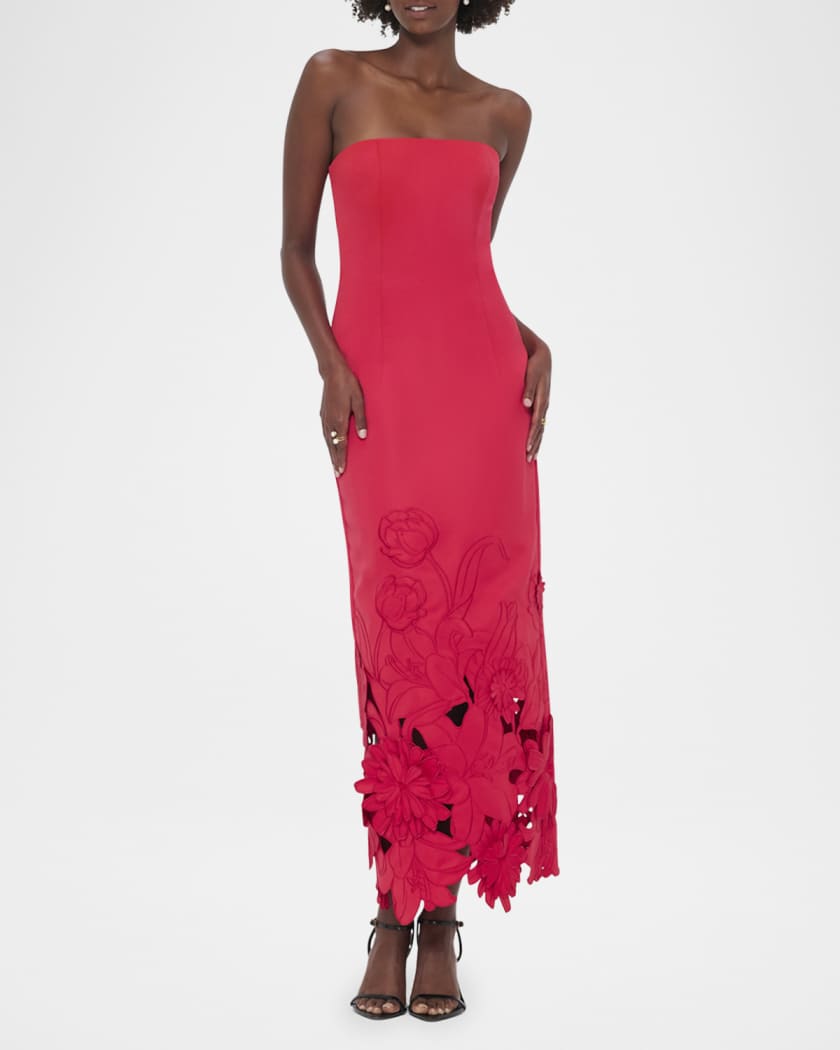 Zayna Embroidered Cutout Bustier Maxi Dress
