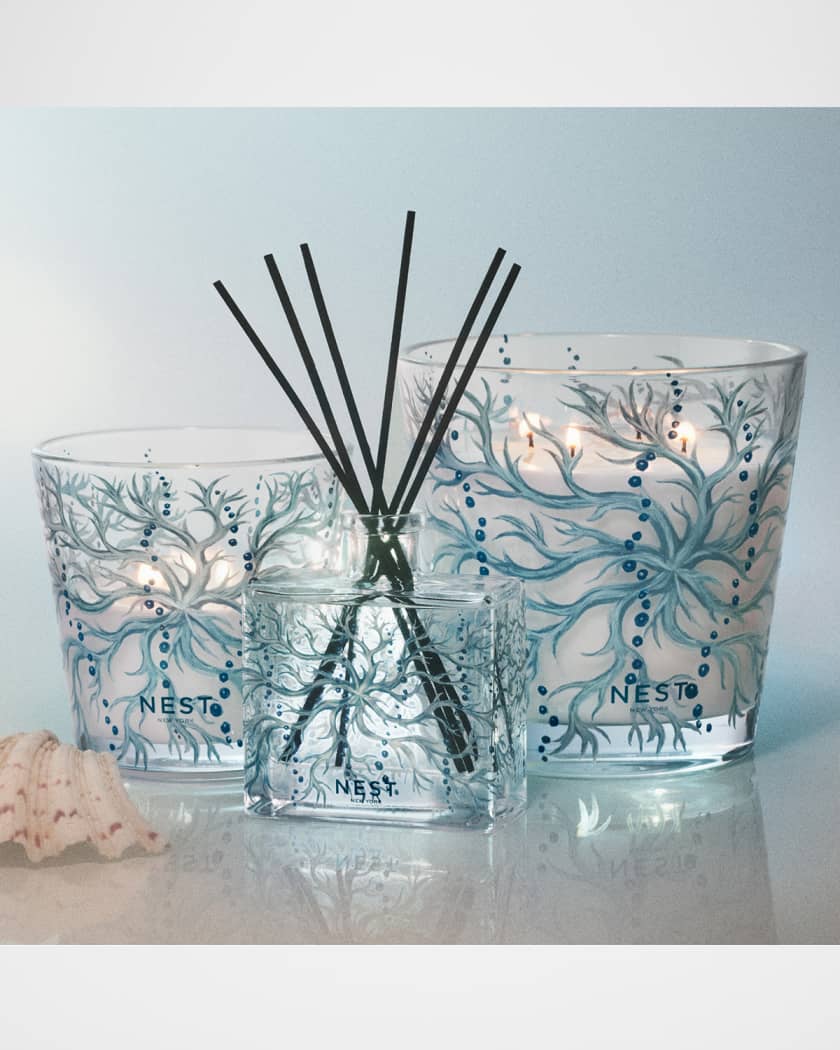 Ocean Mist & Sea Salt Luxury 4-Wick Candle, 43.7 oz.