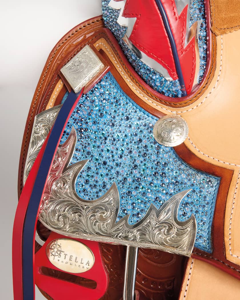 Christian Louboutin Custom Saddle