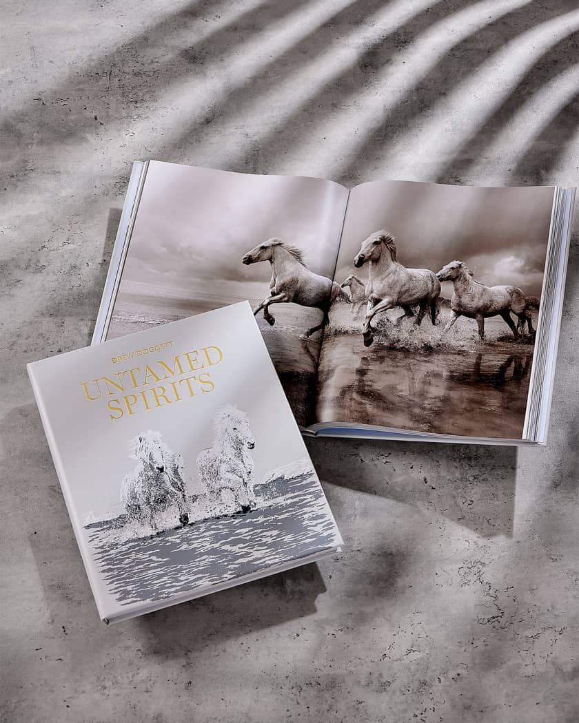 The Dim Feet of White-maned Desire　少女と馬 Graphic Image 