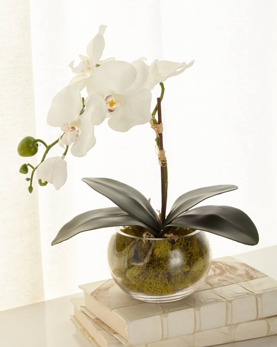 John-Richard Collection Petite Orchid Phalaenopsis | Neiman Marcus