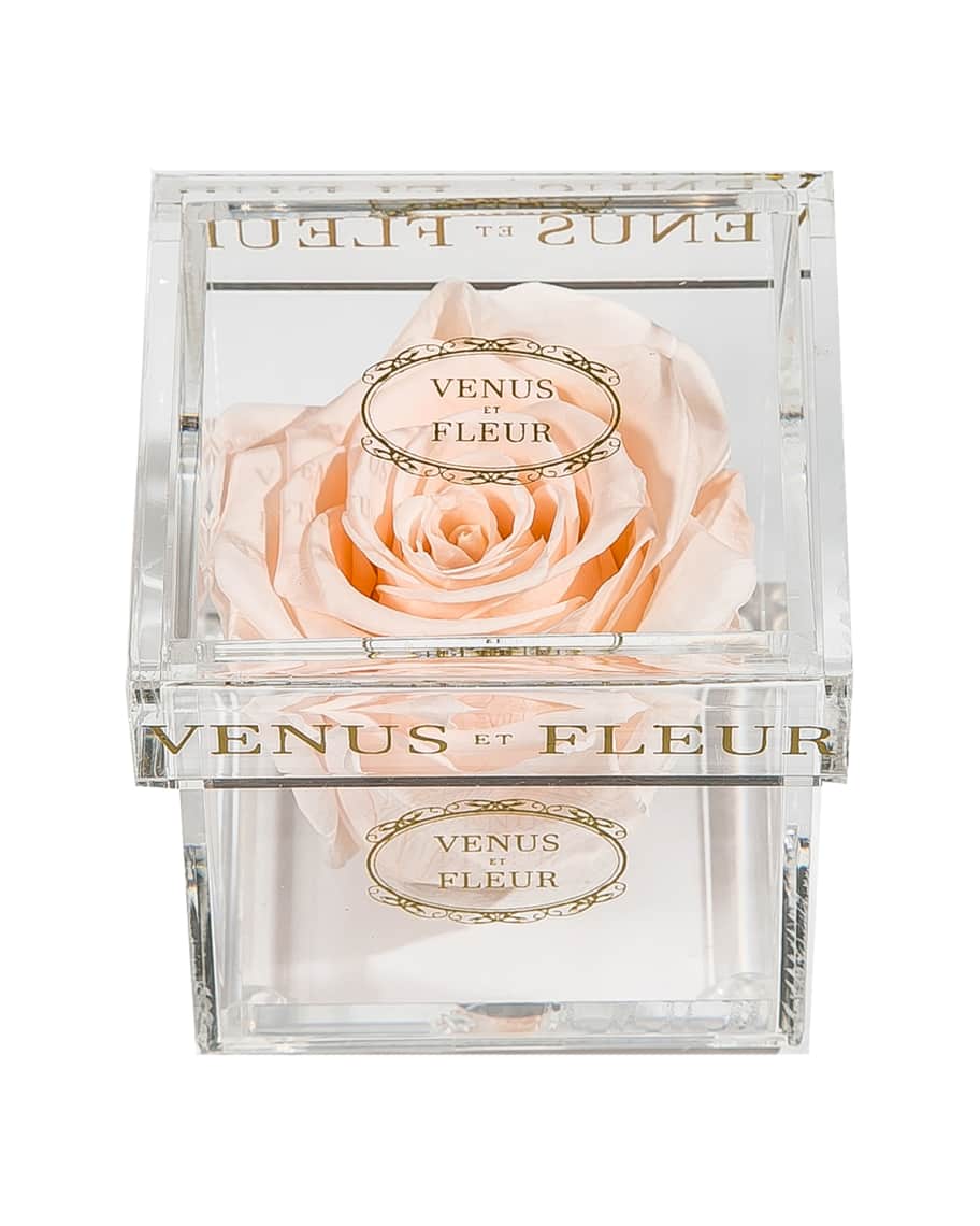 Venus ET Fleur Le Claid Un Clair Rose in Clear Box | Neiman Marcus