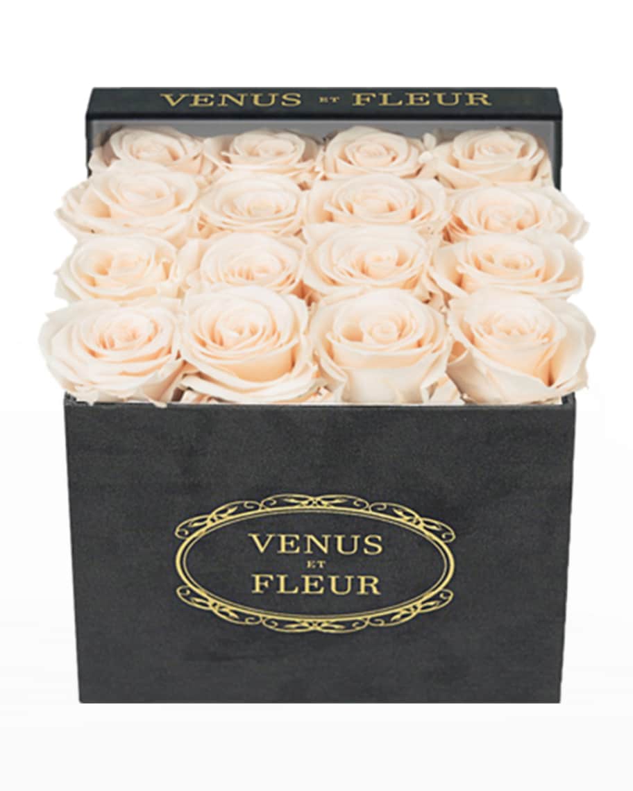 Venus ET Fleur Suede Small Square Rose Box | Neiman Marcus