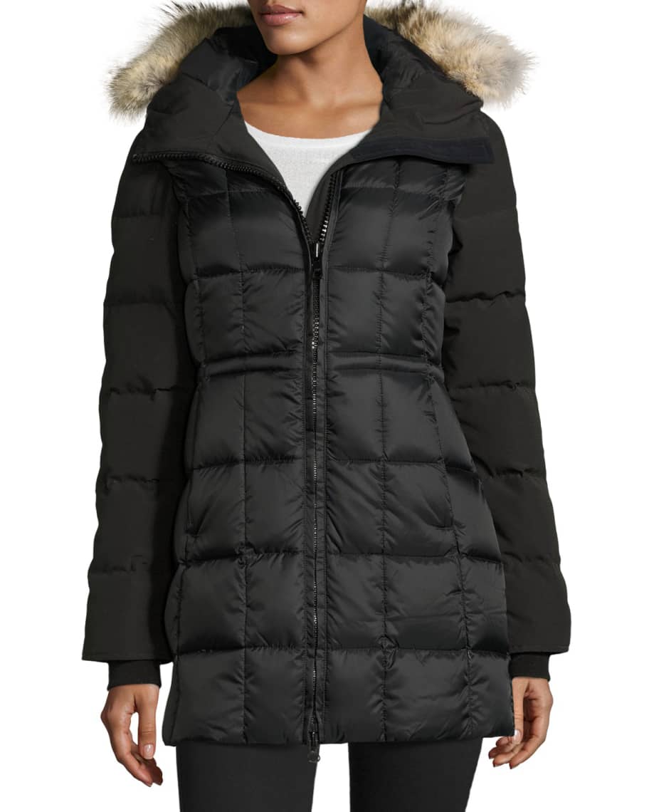 Beechwood canada goose sale