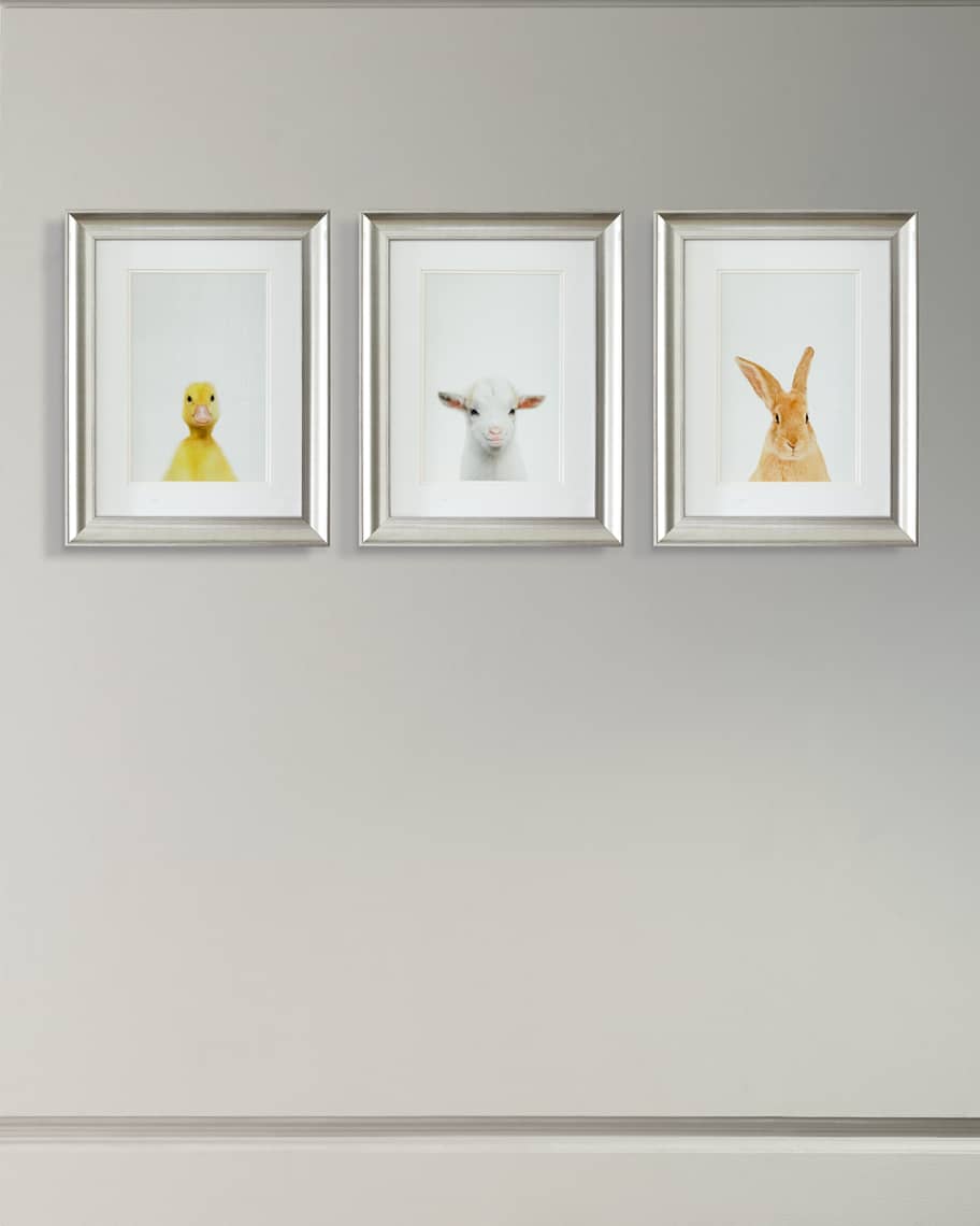 Framed Baby Animal Photography Print Framed Art Neiman Marcus