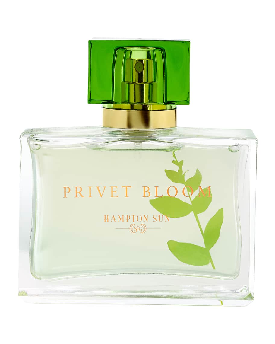 Privet store bloom perfume