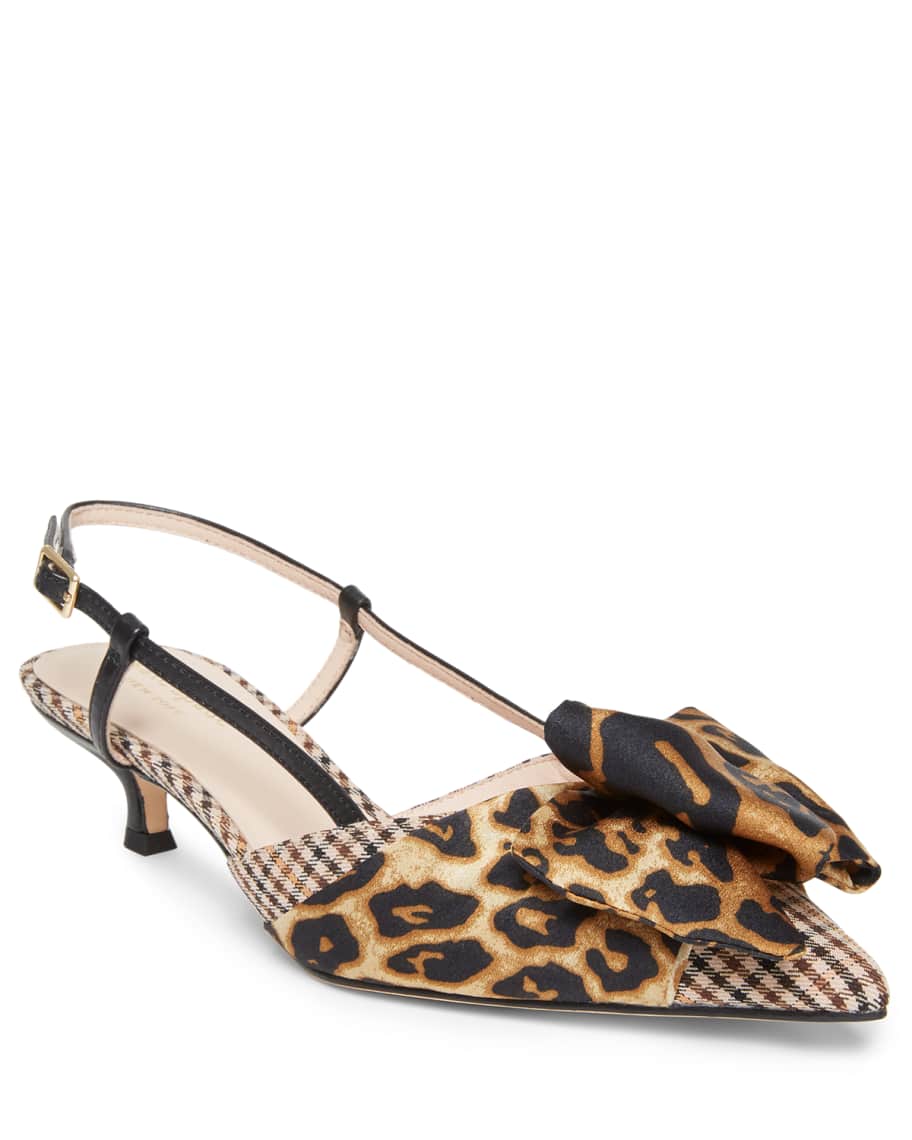Daxton kitten new arrivals heels