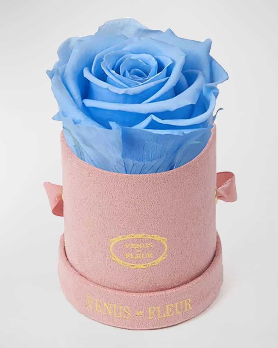 Venus ET Fleur Suede Mini Round Rose Box | Neiman Marcus