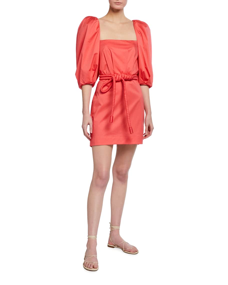 Camelia chiffon mini dress hotsell
