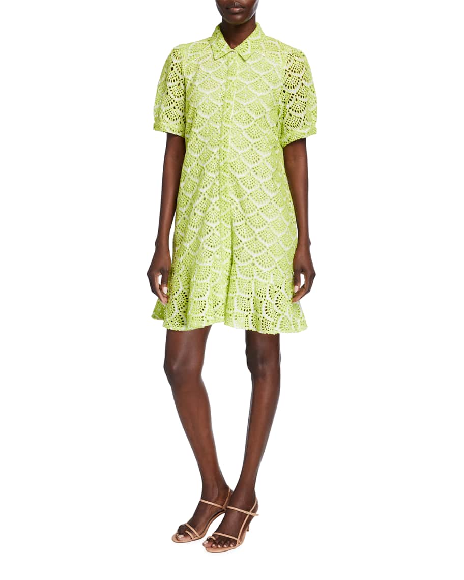 Tanya taylor 2025 aliciana dress