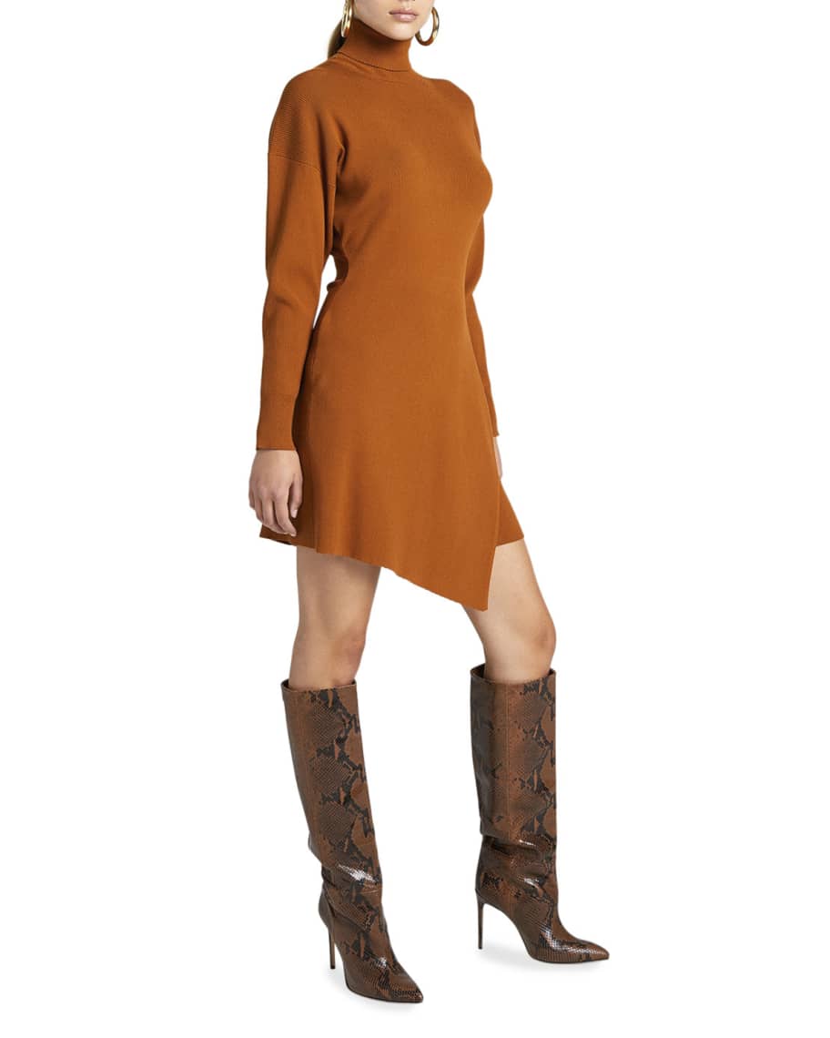 Image 2 of 4: Virgo Long-Sleeve Turtleneck Dress