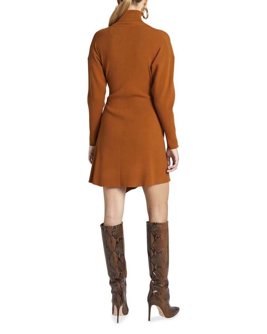 Image 3 of 4: Virgo Long-Sleeve Turtleneck Dress
