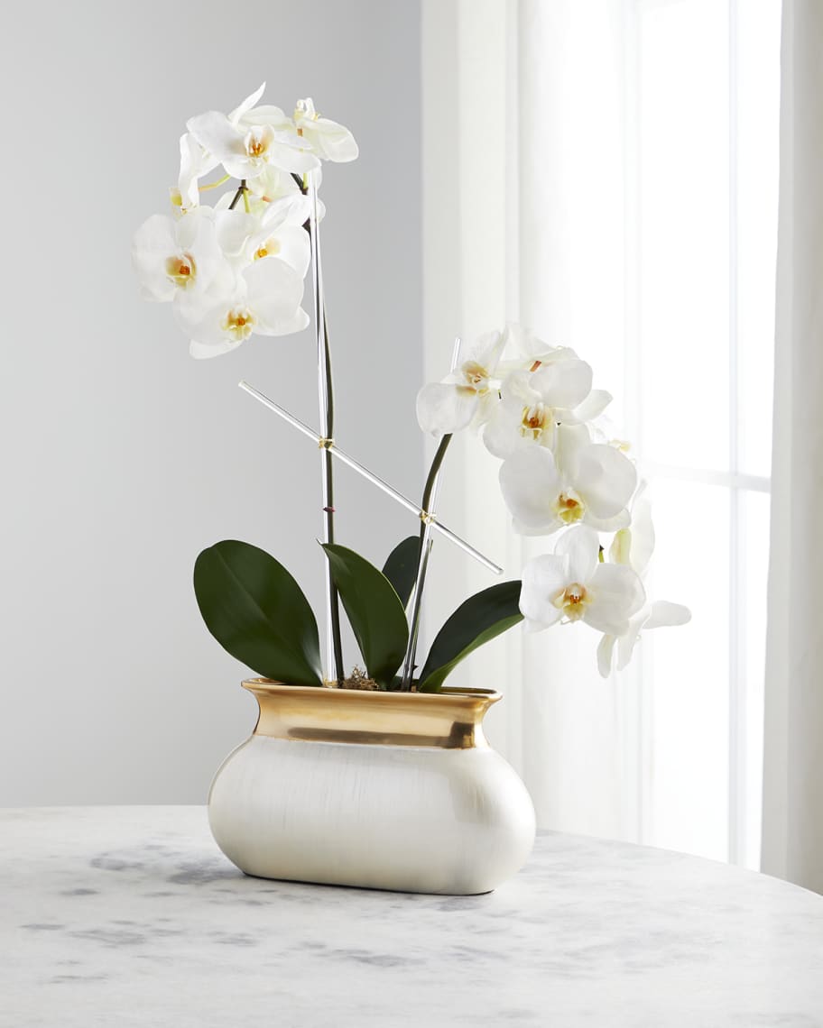 John-Richard Collection Pearlie Orchids Arrangement | Neiman Marcus
