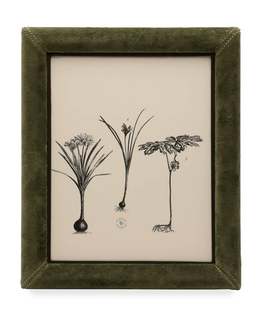 Pigeon and Poodle Juneau Picture Frame - 8" x 10"