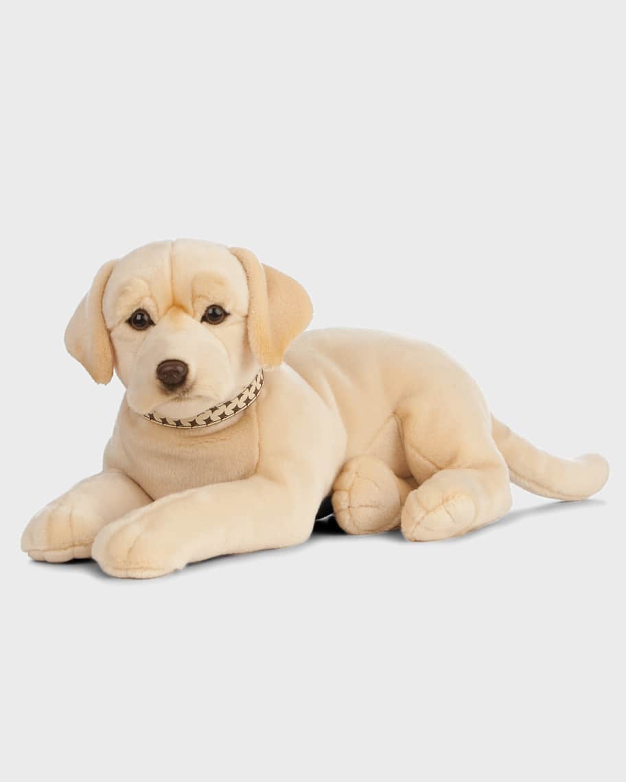 Large labrador teddy top