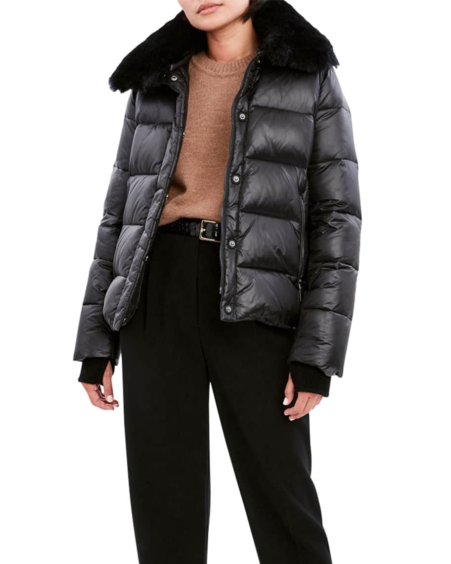 Dawn levy vera coat online