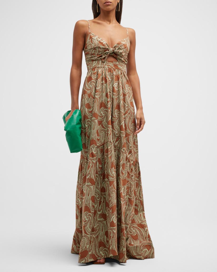 alc laura maxi dress A.L.C. Laura Printed Maxi Dress