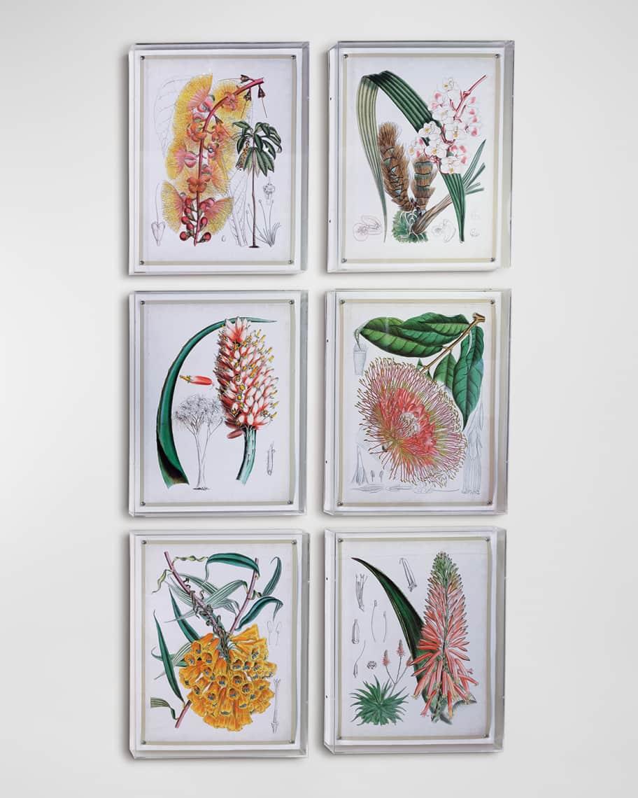 Tropicals Giclee Wall Art Collection Neiman Marcus