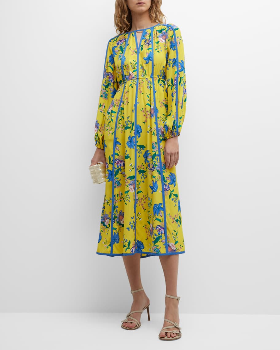 Diane von Furstenberg Scott Floral-Print Blouson-Sleeve Maxi Dress ...