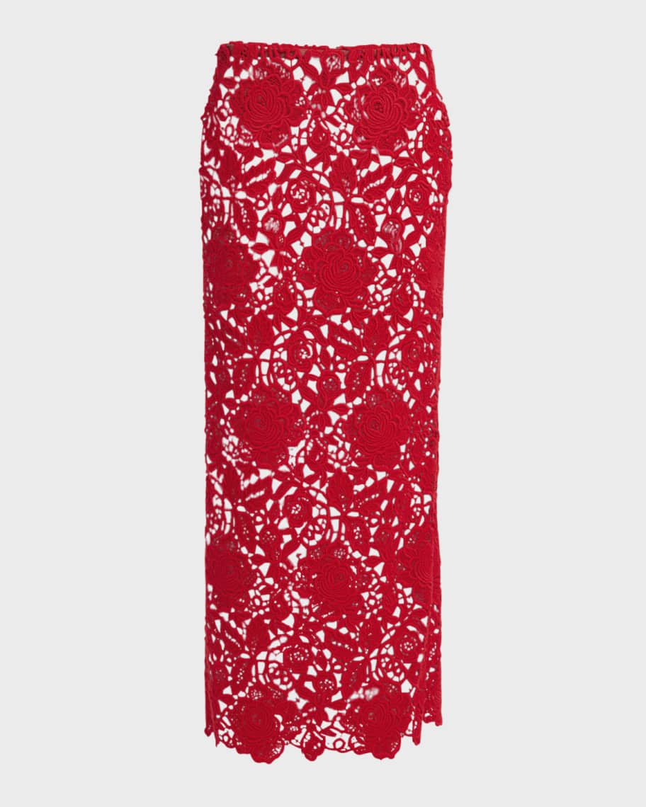 Image 1 of 5: Floral Lace Sheer Maxi Skirt