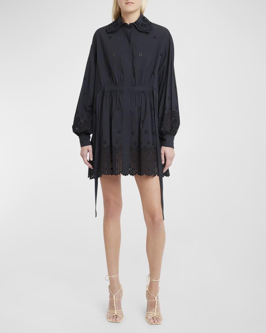 Image 2 of 6: Gemma Broderie Anglaise Mini Shirt Dress