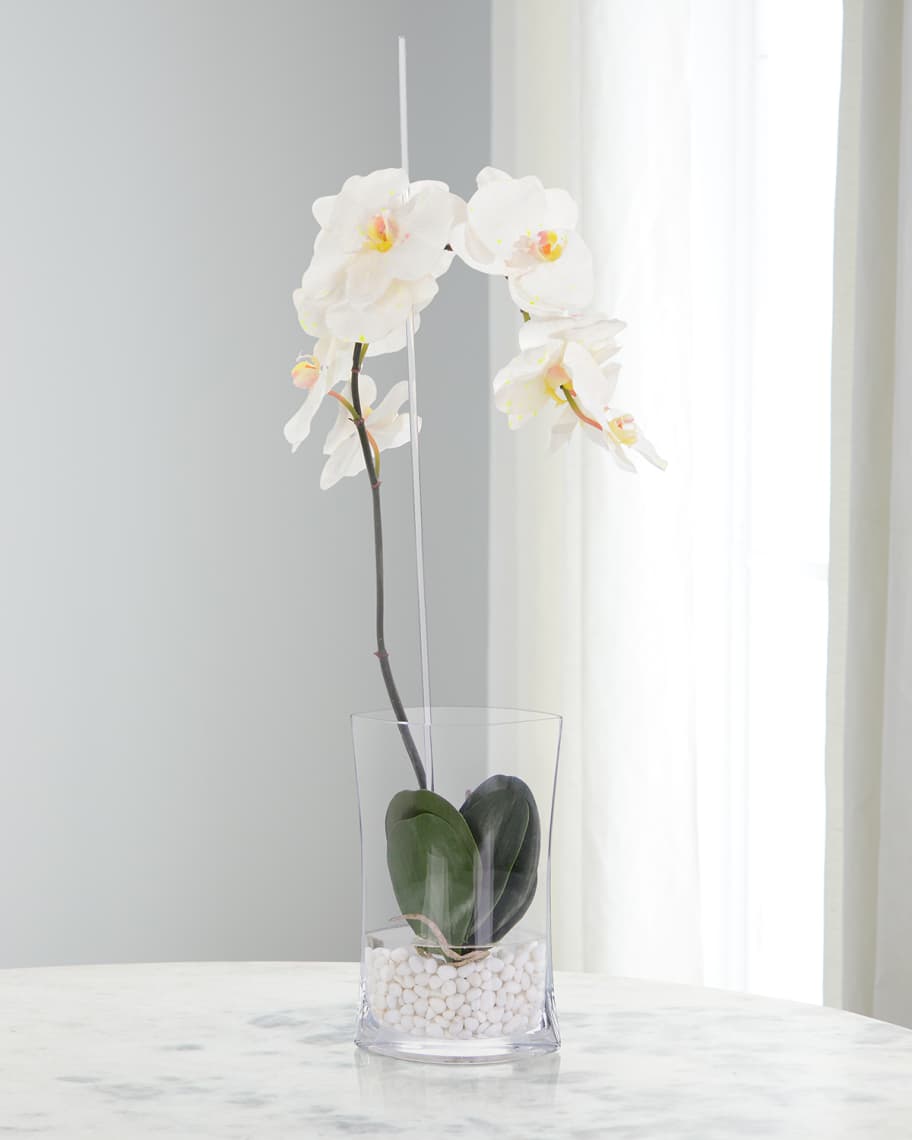 John-Richard Collection Real Touch White Jubilee Phalaenopsis Orchid 28 ...