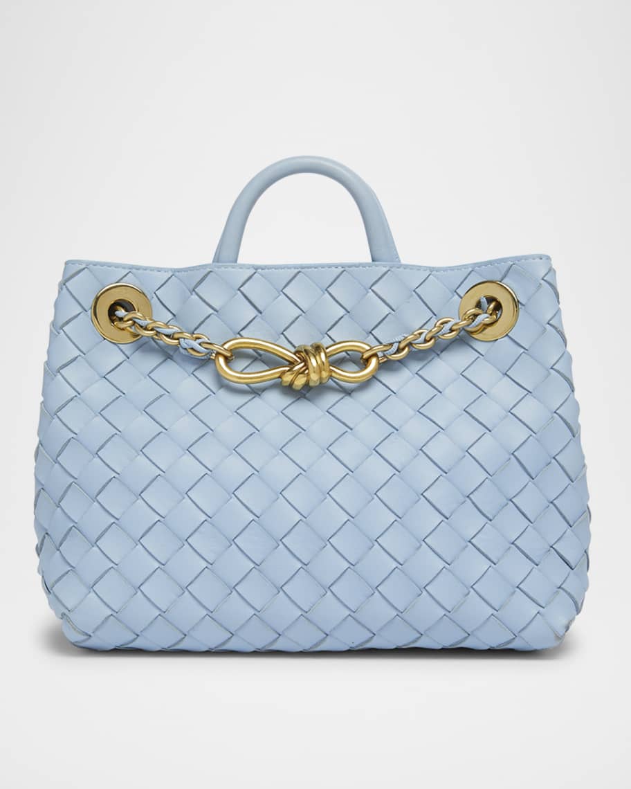 ショルダーバッグ・ポシェット BOTTEGA VENETA SMALL ANDIAMO CHAIN BAG Bottega Veneta Small Andiamo Shoulder Bag with Chain Strap