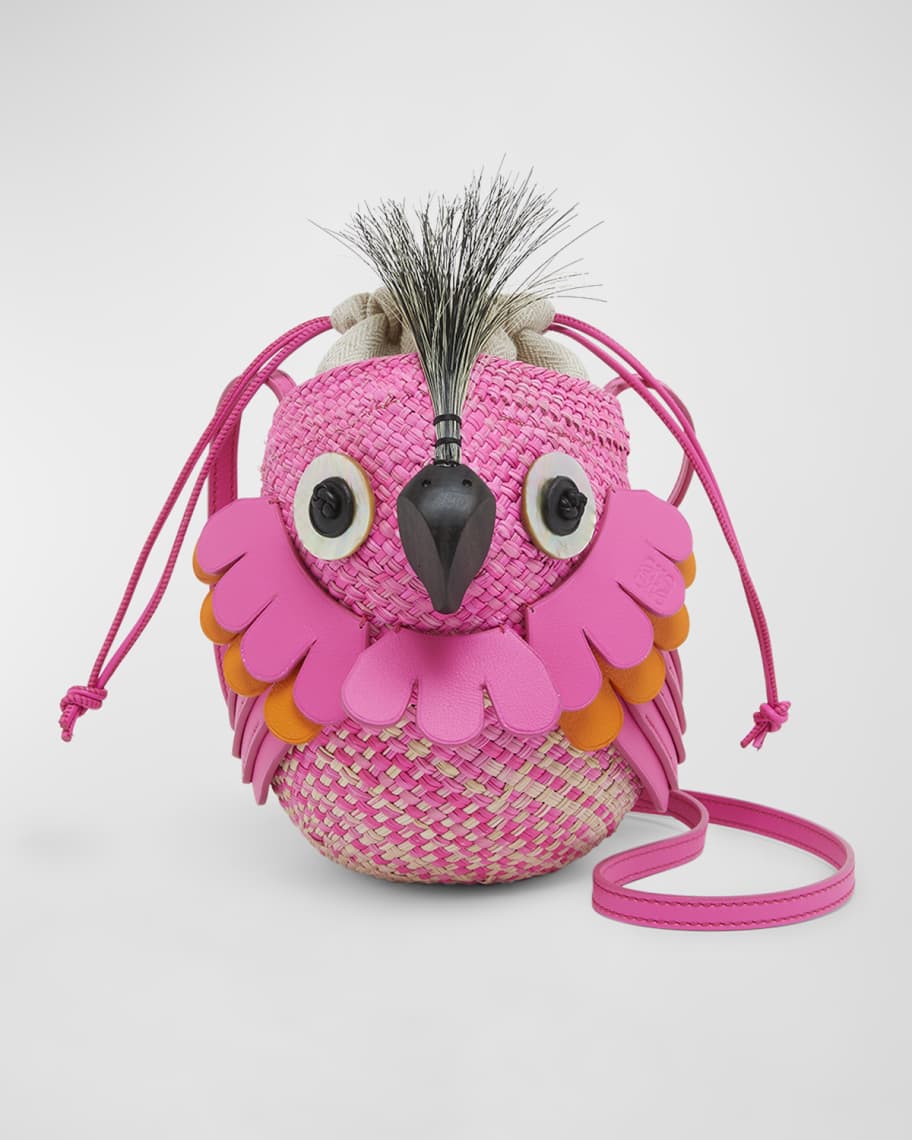 Image 1 of 5: x Paula’s Ibiza Bird Bag in Iraca Palm with Leather Strap