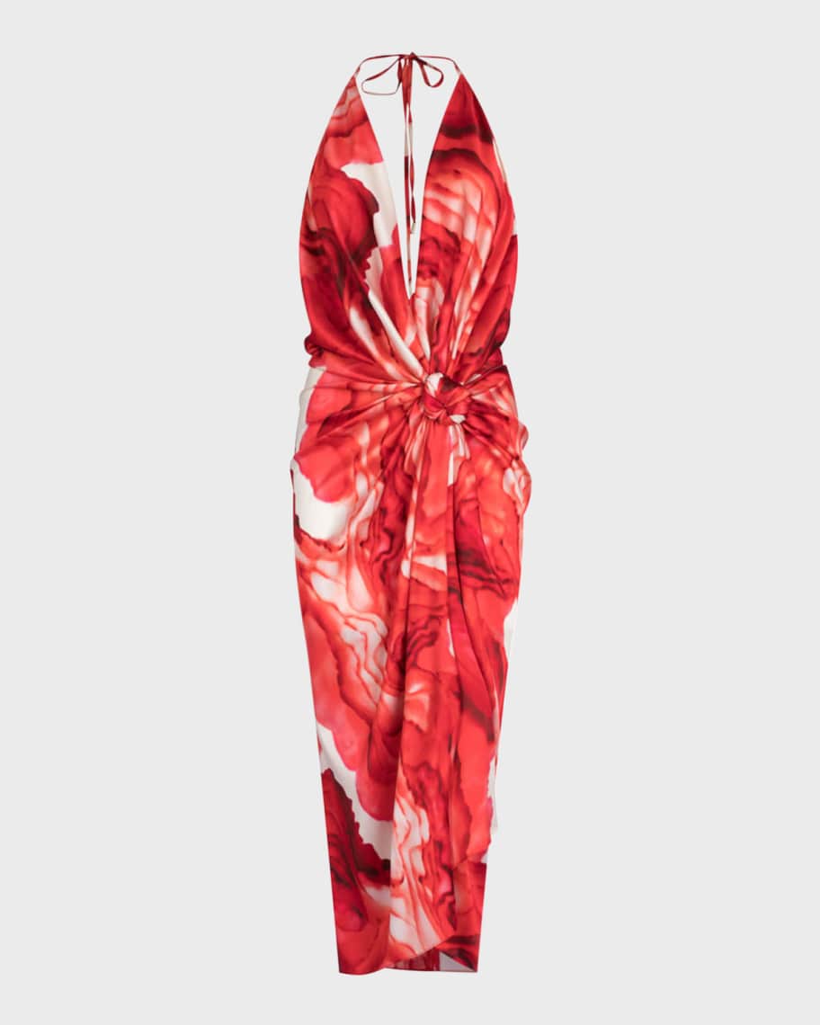 Silvia Tcherassi Guadalupe Dress main image 1