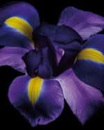 Image 3 of 3: Van Cleef & Arpels Exclusive Collection Extraordinaire Bois D'Iris Eau de Parfum, 2.5 oz.