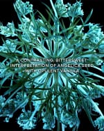 Image 4 of 5: Guerlain L'Art & La Matiere Angelique Noire Eau de Parfum 6.7 oz.