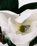 Image 3 of 3: Loewe Aura Pink Magnolia Eau de Parfum, 3.4 oz.