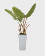 Image 2 of 4: John-Richard Collection Banana Leaf Tree