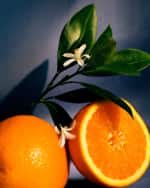 Image 4 of 5: Loewe Loewe Orange Blossom Candle, 2120 g