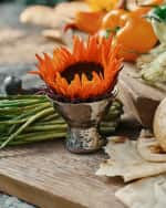 Image 2 of 3: Jan Barboglio Martini y Mas Glass