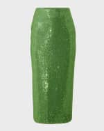 Image 1 of 5: Carolina Herrera Embellished Midi Skirt