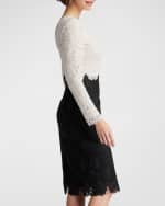 Image 4 of 5: Tadashi Shoji Two-Tone Corded Lace Dress